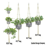 Hanging Planters